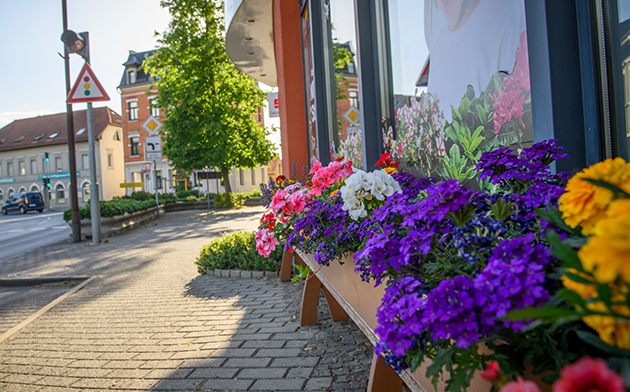 Blumen vor Ladengeschäft in Schwepnitz